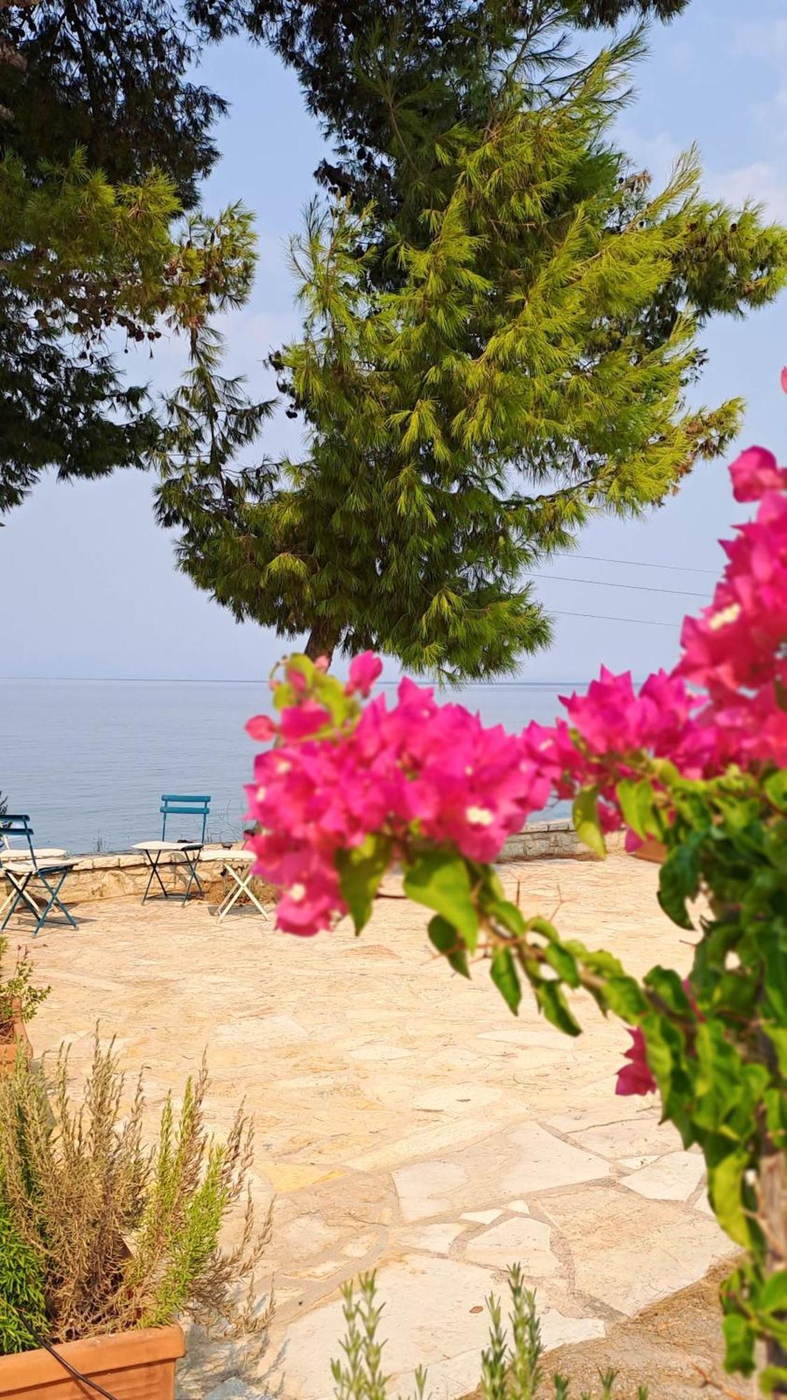Nama Beach House Arkadiko Chorio Eksteriør bilde